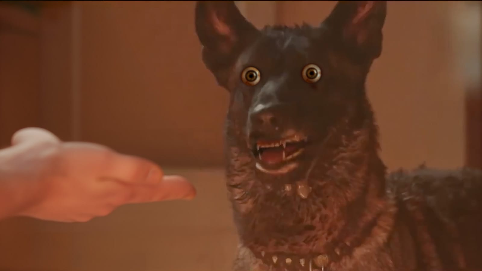 Dog Bites Man, Also Dog